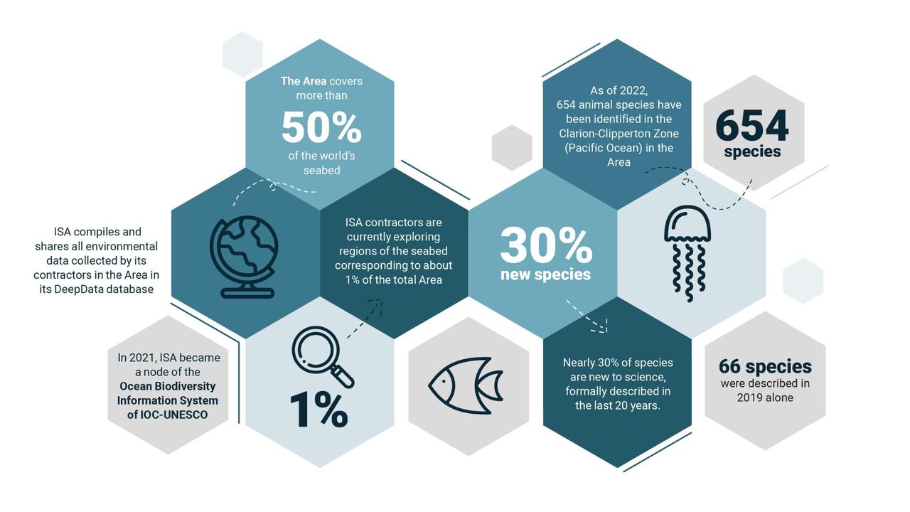 source:TheConversationEU - Il 54% del mare appartiene a tutti - Informazioni sull'Area, lo stato della biodiversità e il ruolo dell'ISA.