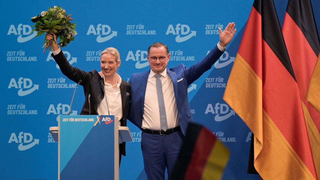 source:AlJazeera - L'Ascesa dell'AfD in Germania - Immagine dell'AfD in Germania