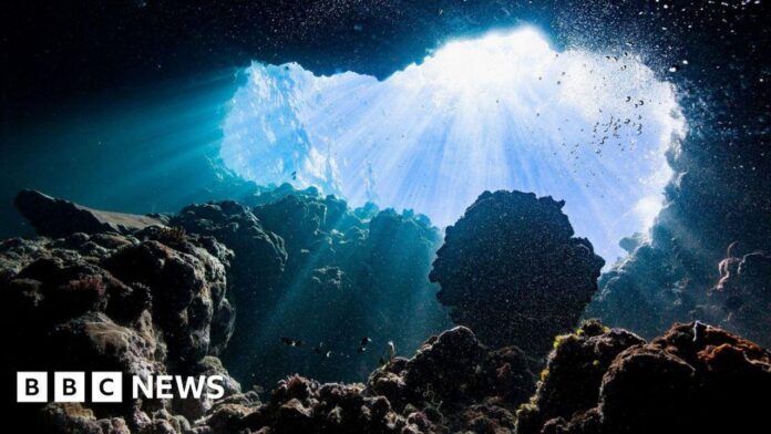 source:BBC World News - La missione 'ossigeno oscuro' mira ad altri mondi