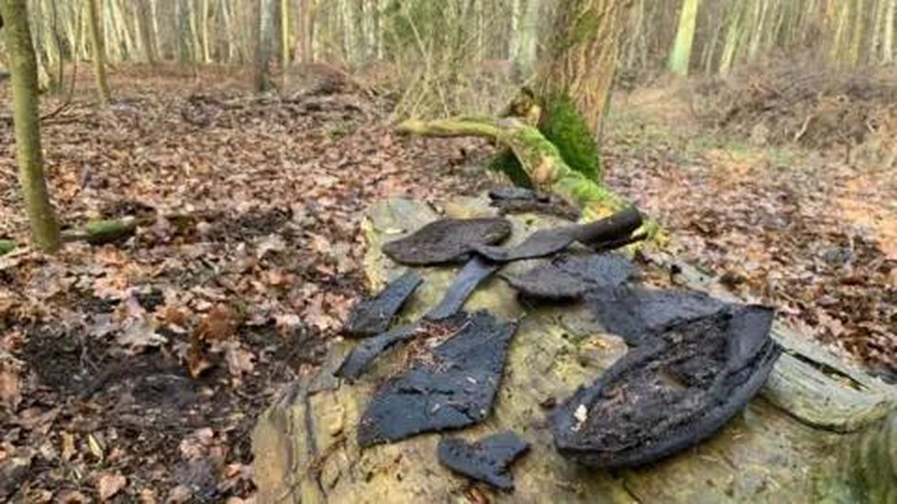 Le lezioni dimenticate - Scarpe abbandonate in una foresta