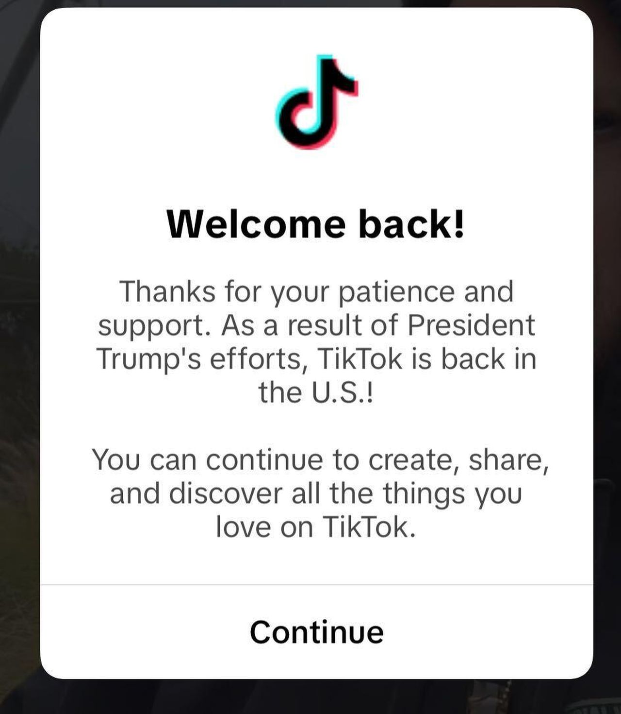 source:Independent - Le reazioni politiche alla decisione di Trump - TikTok accreditato per il ritorno del servizio negli Stati Uniti.