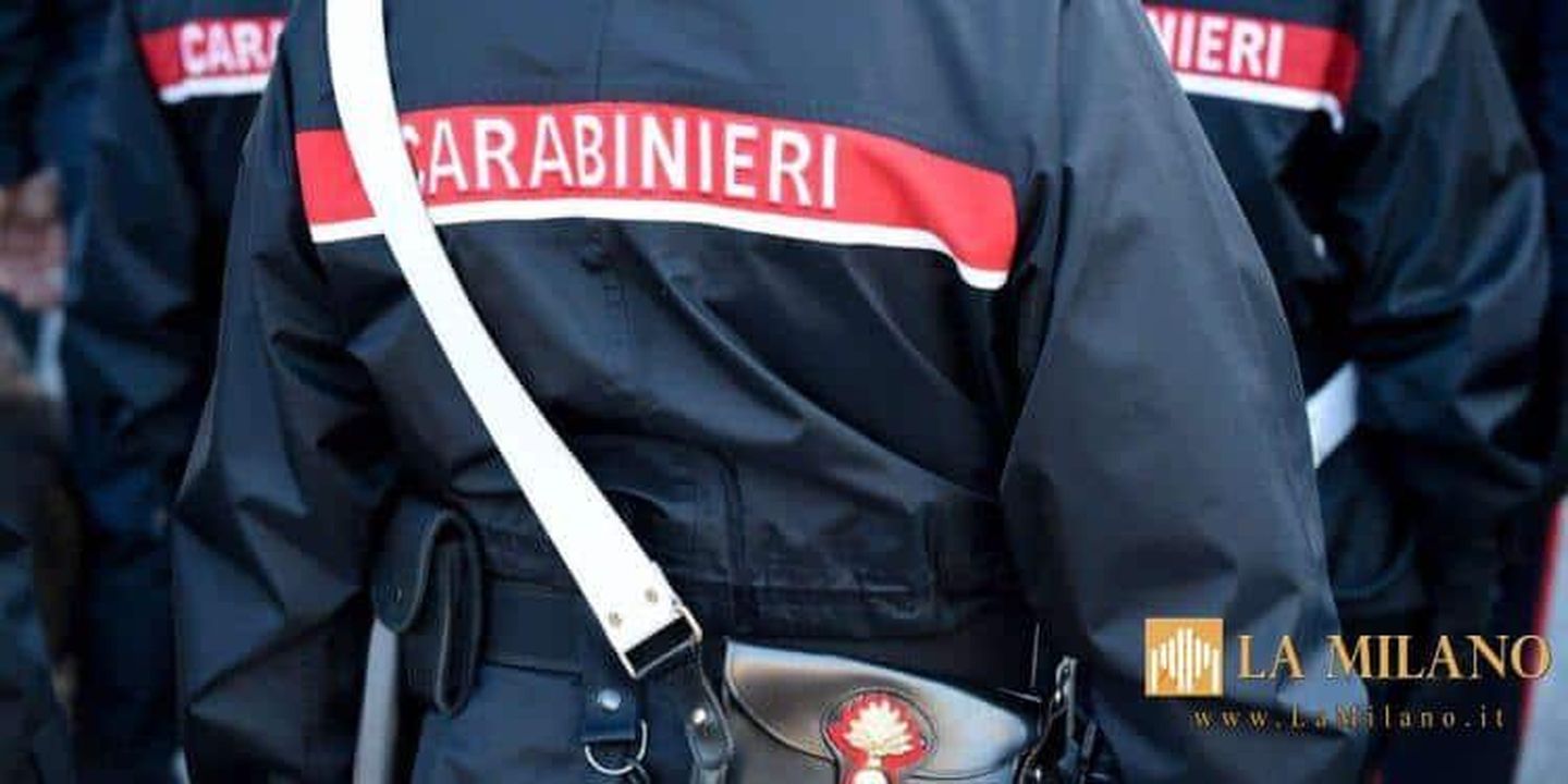 source:lamilano - Numeri significativi del 2024 - Immagine dei Carabinieri