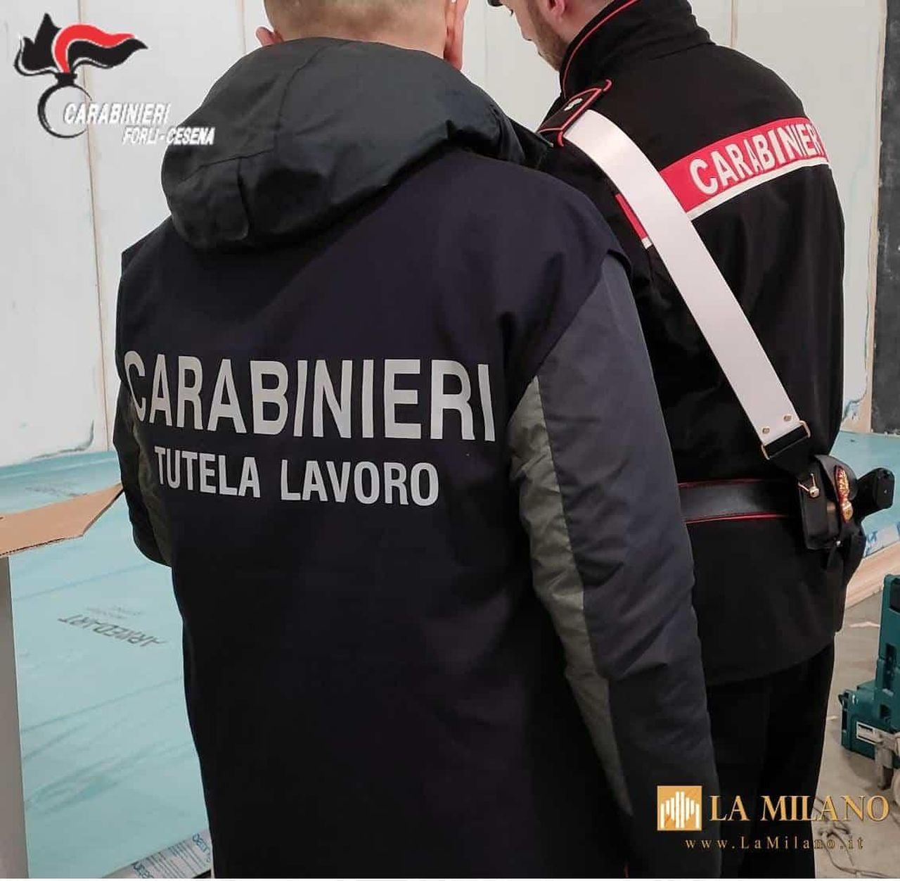 Risultati complessivi delle attività ispettive - Forlì-Cesena: 2024, attività di controllo dei Carabinieri del NIL per la tutela dei lavoratori.